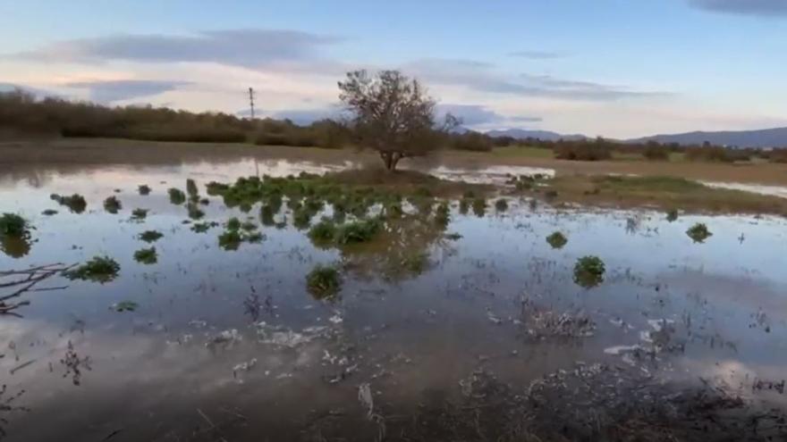 22 municipios del Alt Empordà, con restricciones por sequía.