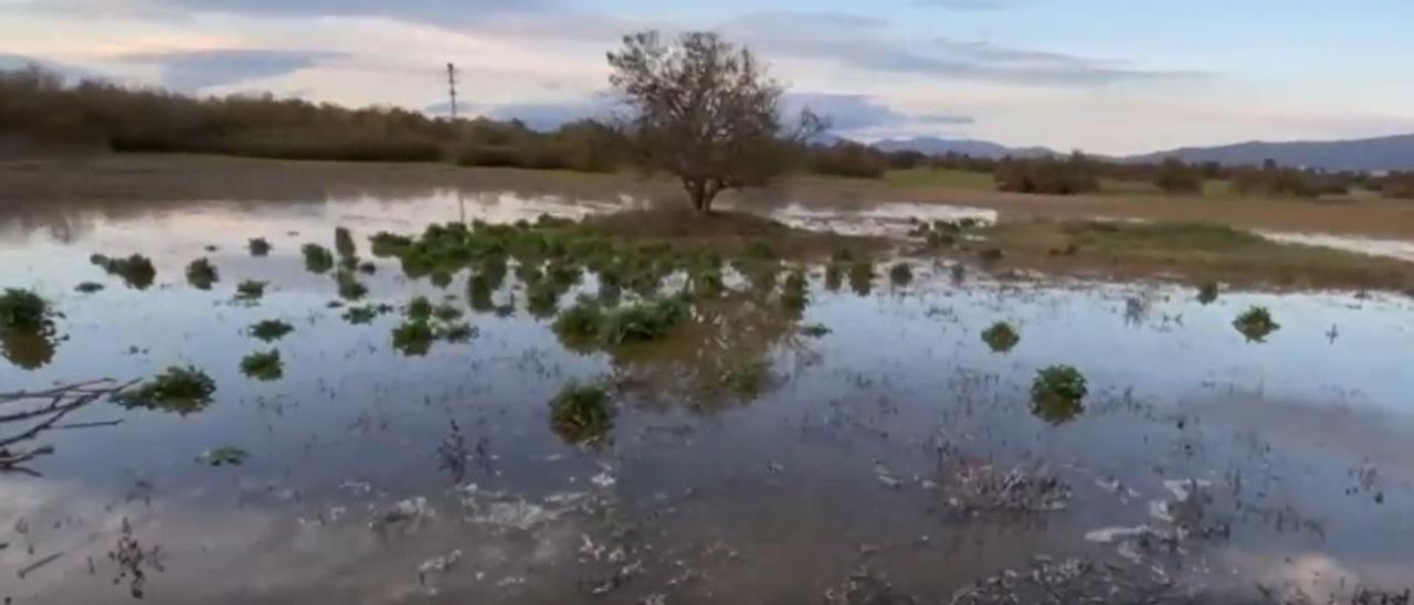 22 municipios del Alt Empordà, con restricciones por sequía.