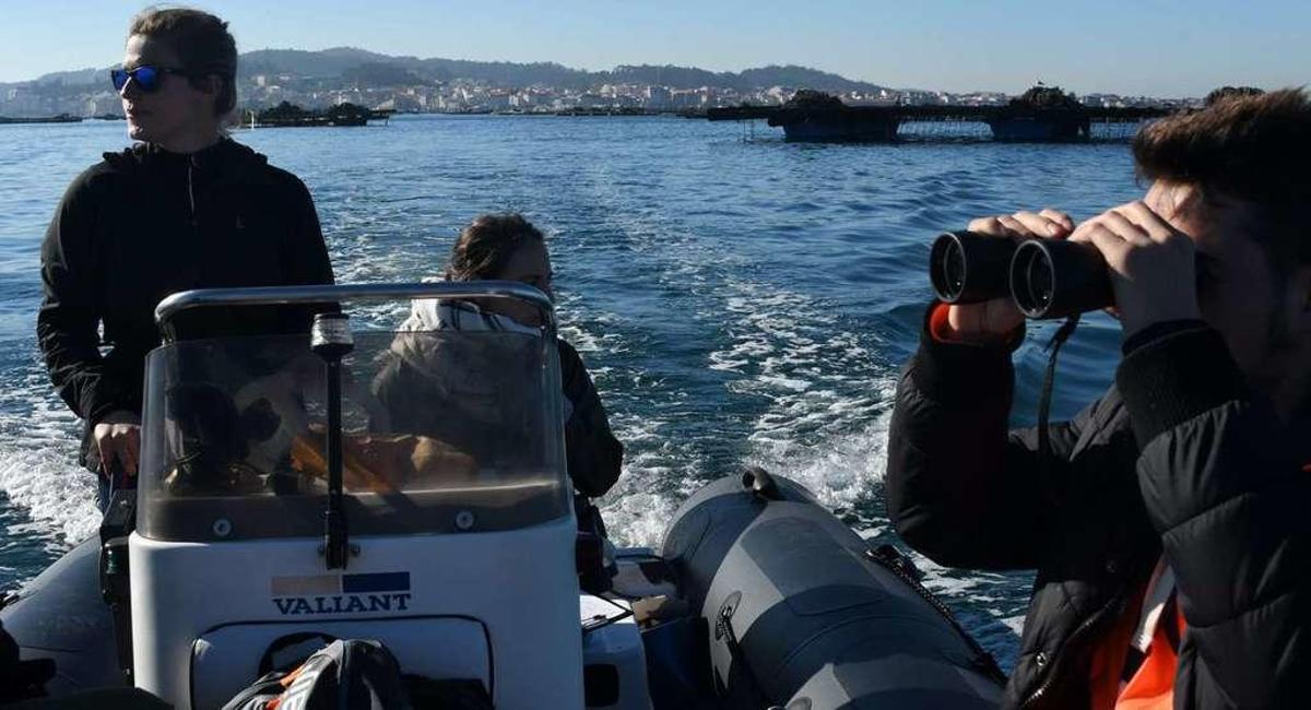 Miembros del equipo del BDRI durante una jornada de observación de mamíferos marinos entre las bateas de Arousa. // BDRI