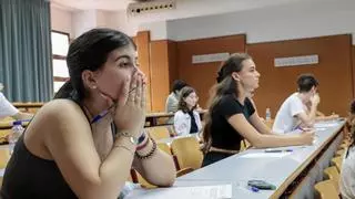 Consulta hoy las notas de Selectividad en Alicante: hora y acceso directo
