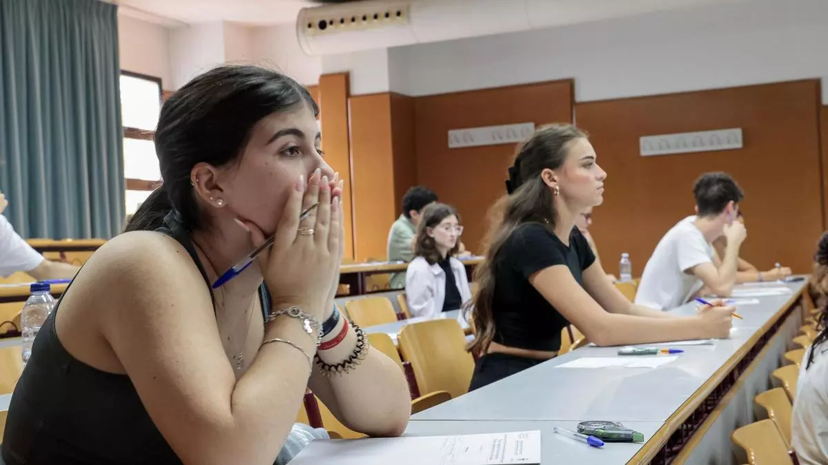 Consulta hoy las notas de Selectividad en Alicante: hora y acceso directo