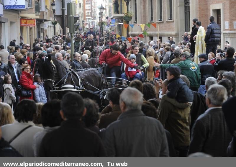 GALERÍA FOTOS - La provincia celebra Sant Antoni