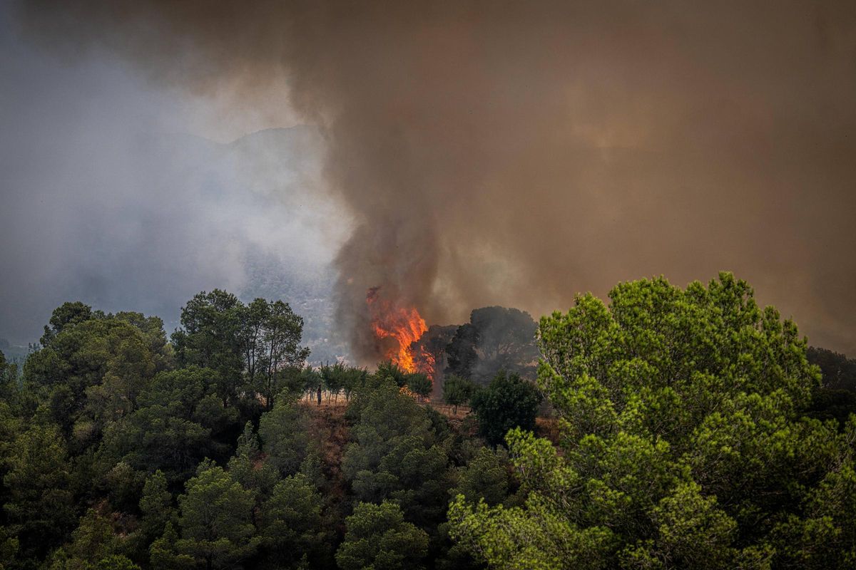 Dentro del incendio en Baix Ebre: los bomberos trabajan a contra reloj en el incendio forestal en Paüls