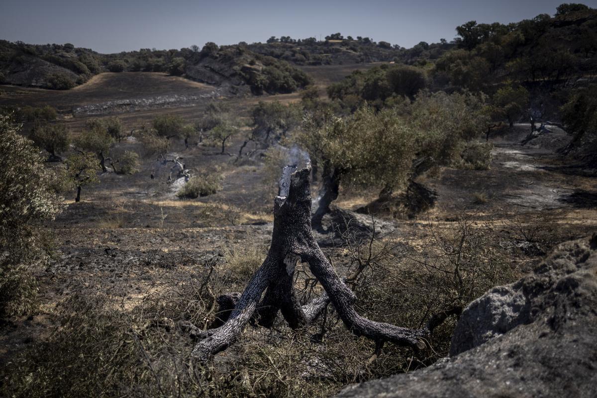 INCENDIO EN TAMARITE - DESPLAZADOS A MONZON - COMARCA LA LITERA
