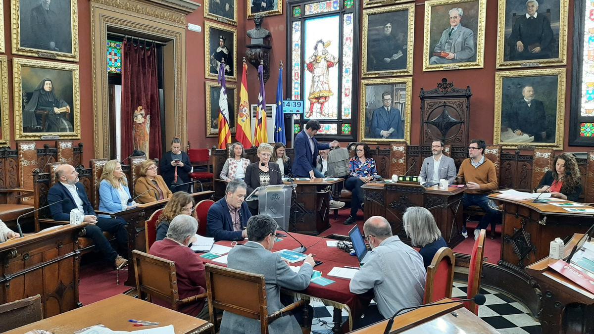 La Defensora de la Ciudadanía en su intervención de este martes en el pleno.