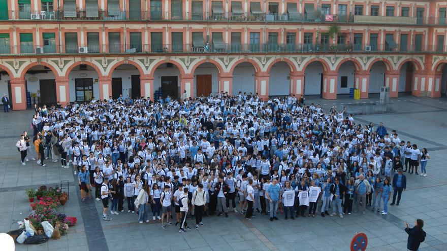 La yincana matemática toma Córdoba