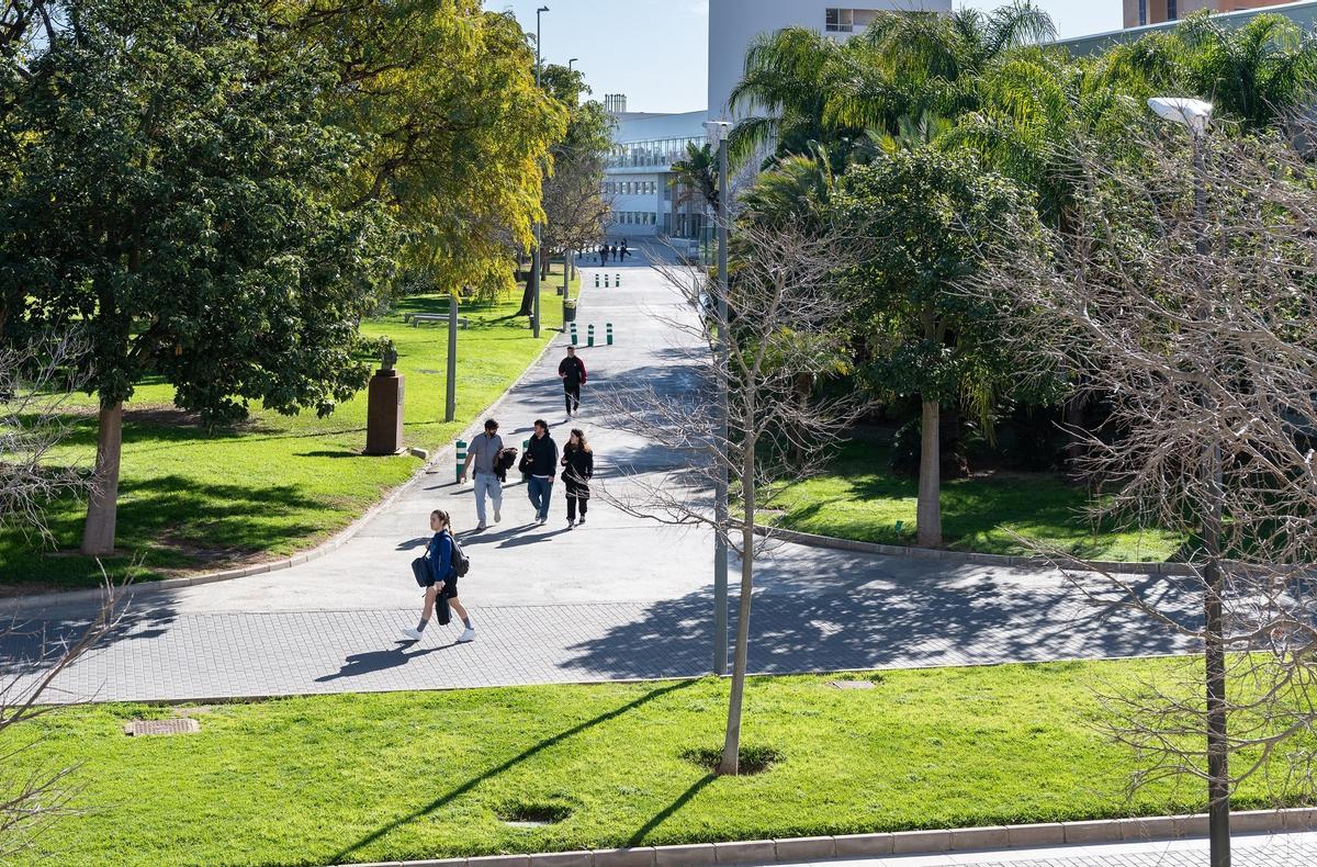 El campus de la Universitat Politècnica de València.