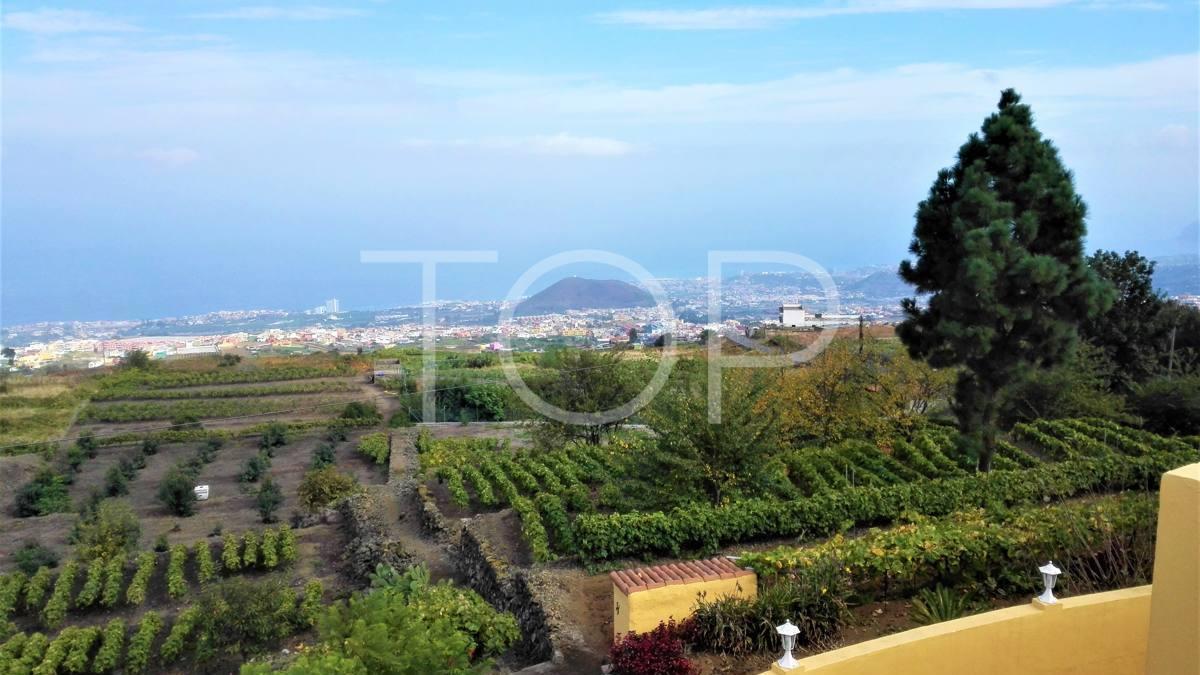 Chollo inmobiliario en Tenerife: impresionantes dos casas pareadas y fincas en Los Realejos