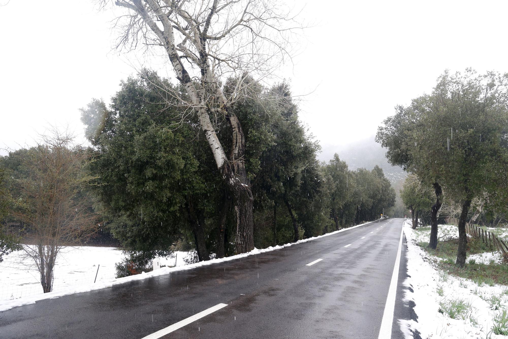 Sehenswürdigkeit Schnee auf Mallorca - neue Bilder aus der Serra de Tramuntana