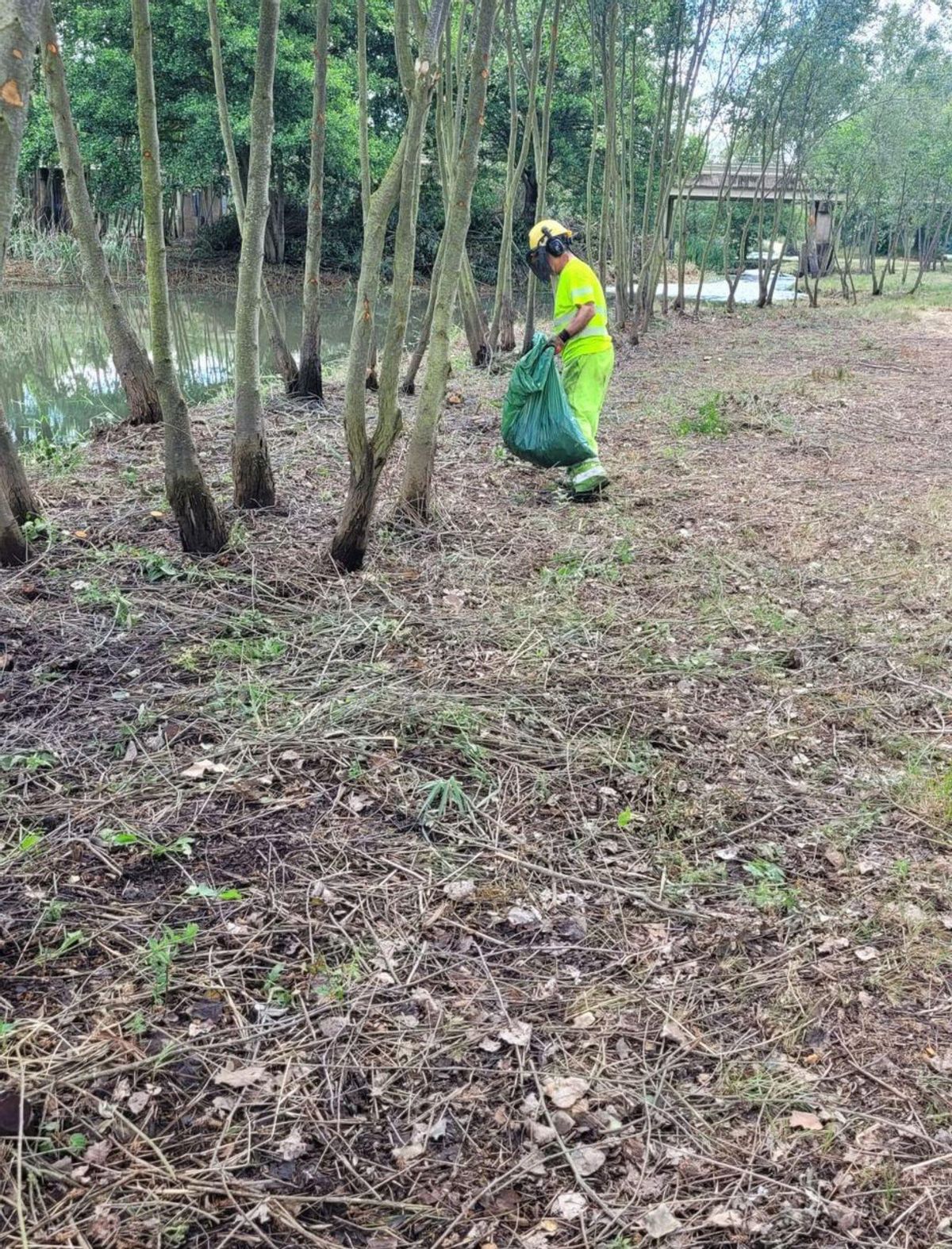 Un operario de Tragsa realiza labores de desbroce en Puente Mózar. | J. A. G.