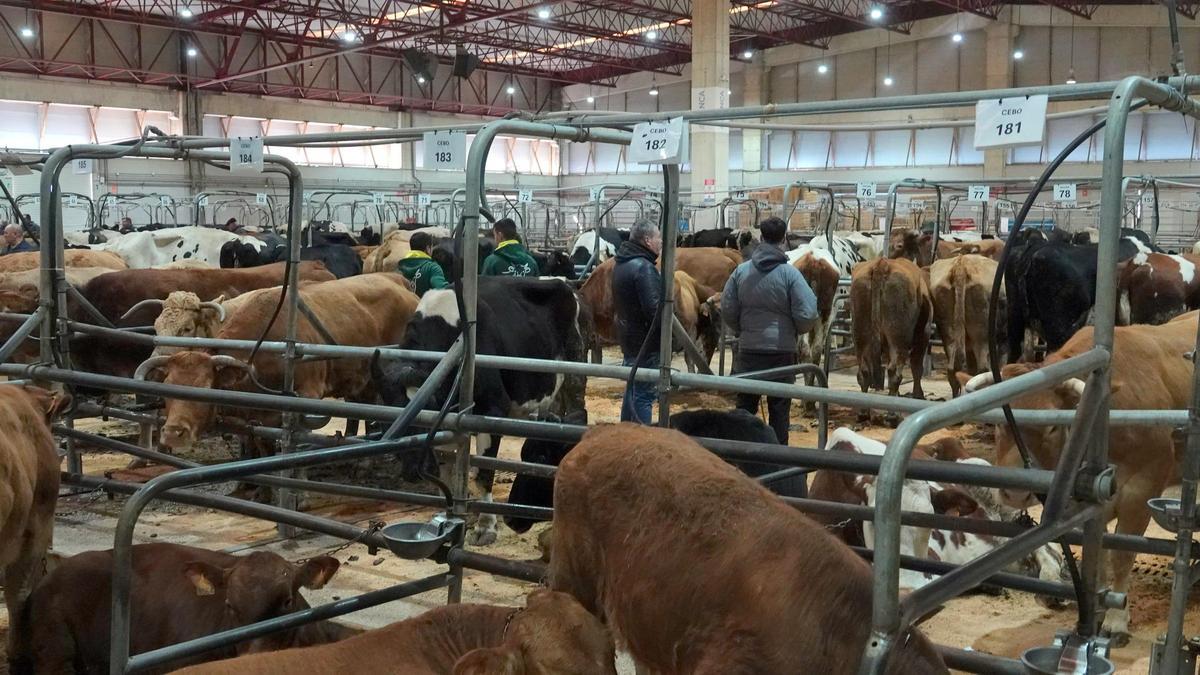 La última subasta del año tuvo gran afluencia.