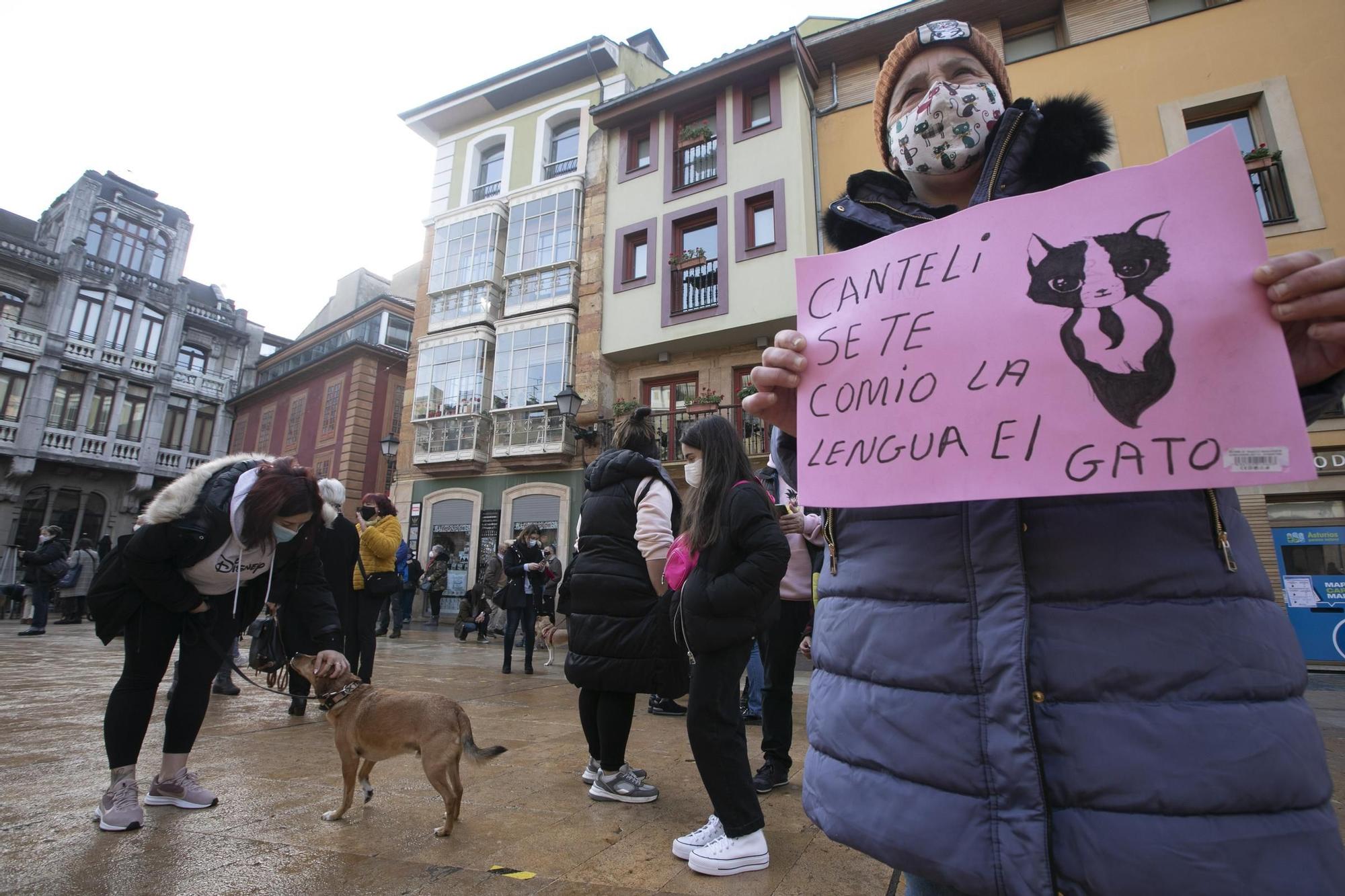 Protesta contra la nueva gestora del albergue de animales de La Bolgachina.