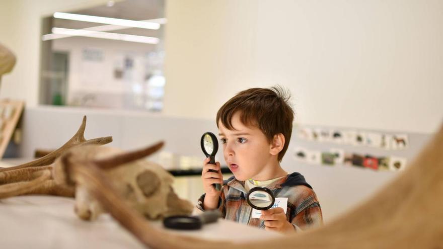 El Lab 0_6 d'UManresa ha rebut més de 118.000 visitats durant els seus 10 anys de vida