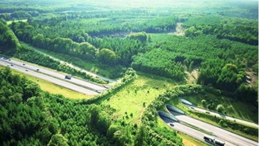 Salvem les Valls reclama que la declaració d'impacte ambiental de la variant d'Olot contempli la protecció de l'aqüífer
