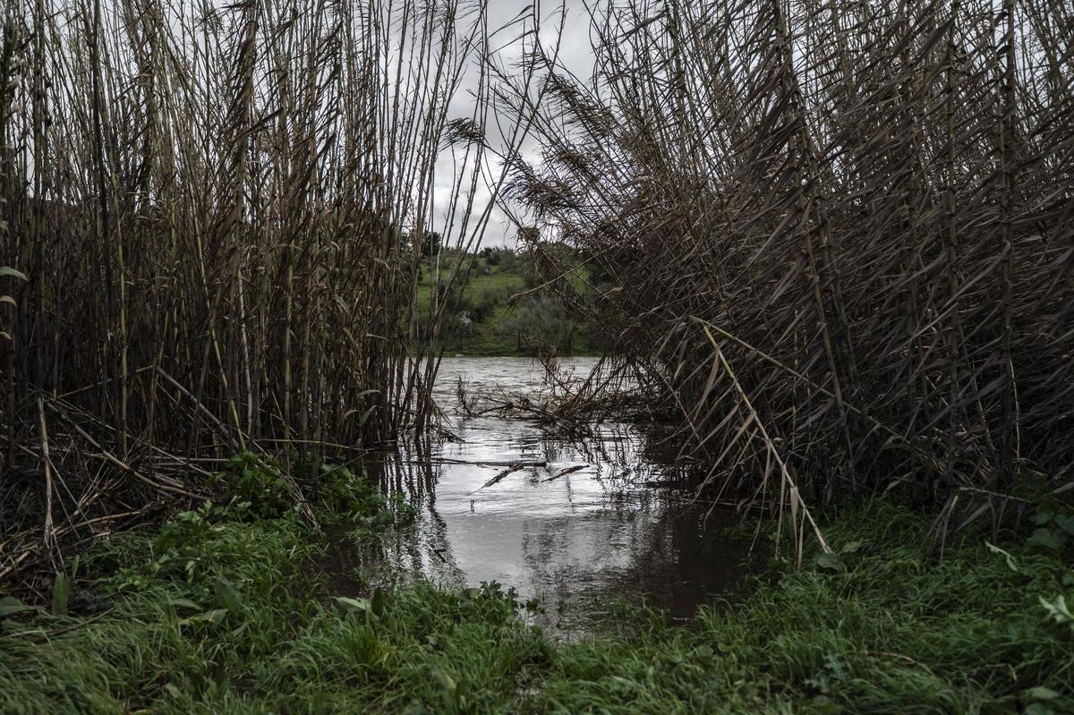 Galería | Estado del Marco tras el desembalse del Guadiloba en Cáceres