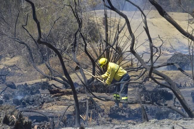 Incendio en la zona de las dunas de Maspalomas