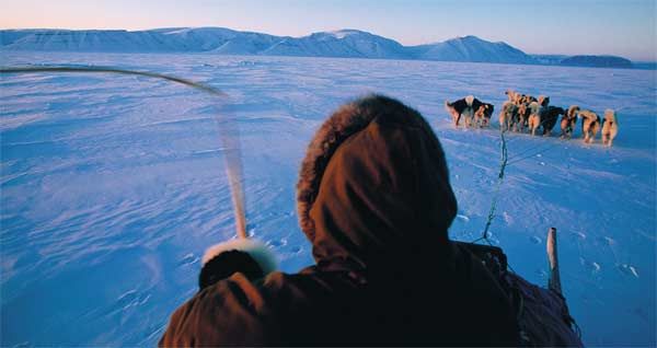 La mítica región de Thule, al norte de la gigantesca isla de Groenlandia, brinda al viajero la posibilidad de acercarse a la cultura más acendrada de los inuit y de explorar, en trineos tirados por perros, los espectaculares fiordos e icebergs de esta inhóspita zona.