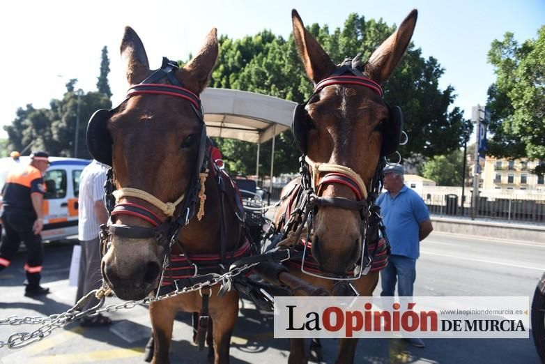 Ruta a caballo desde la ciudad al corazón de la hu