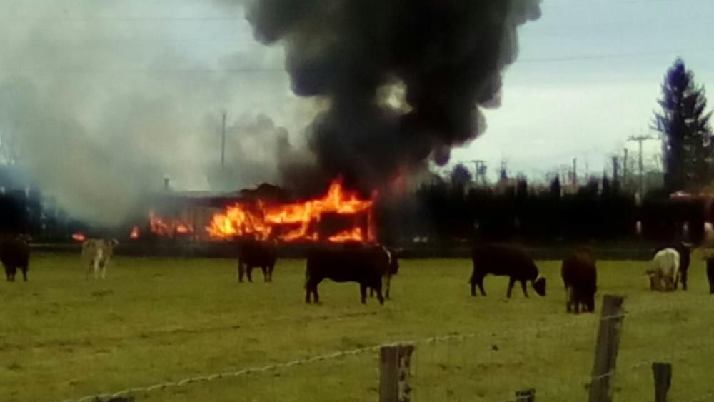 Incendi en una hípica de Salt