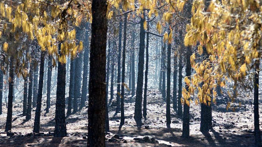 Gran Canaria afronta un otoño más cálido y con pocas lluvias