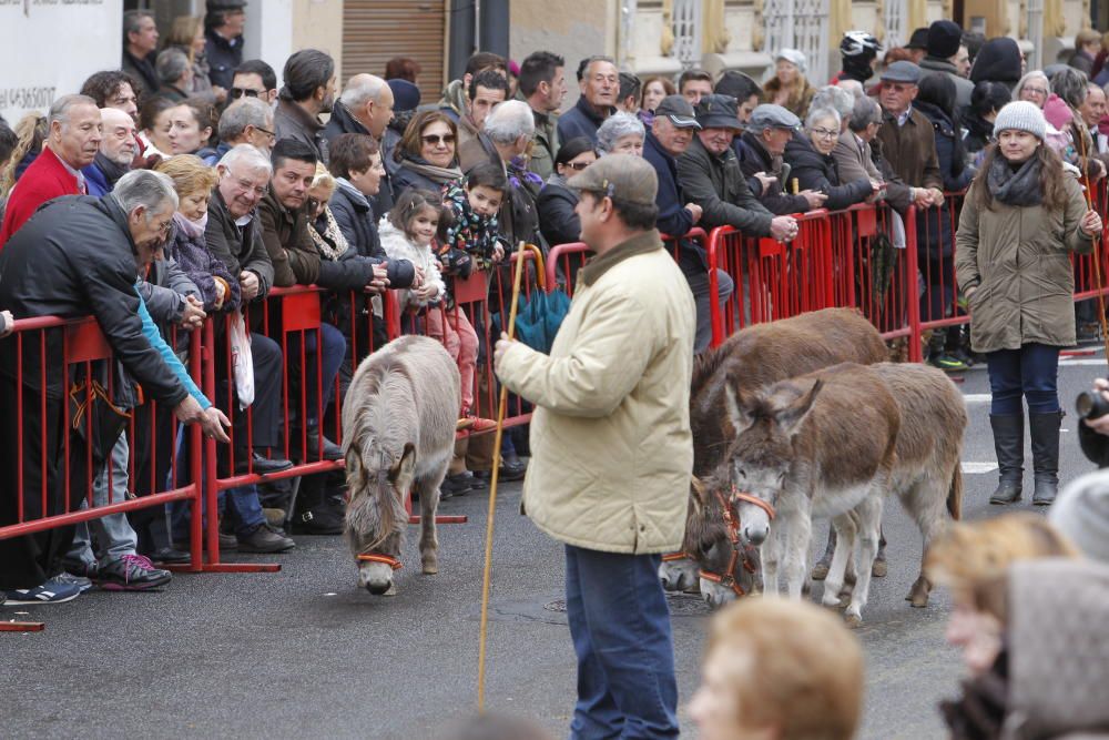 Sant Antoni en Valencia 2017