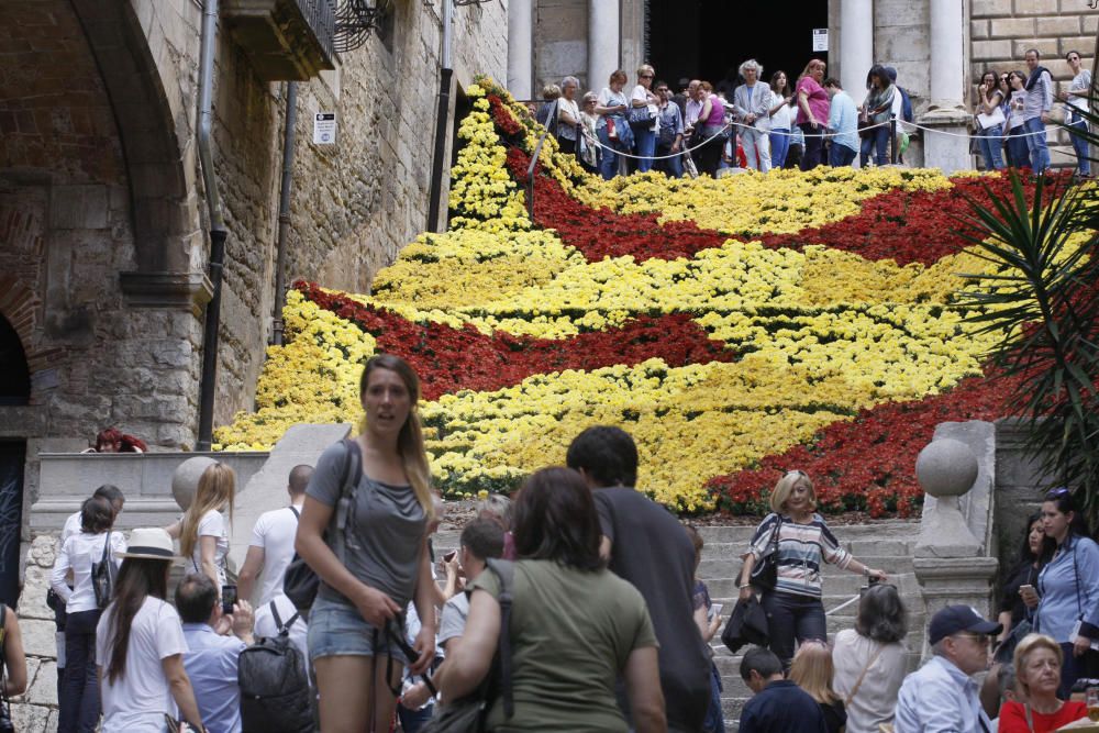 Primer diumenge de Temps de Flors