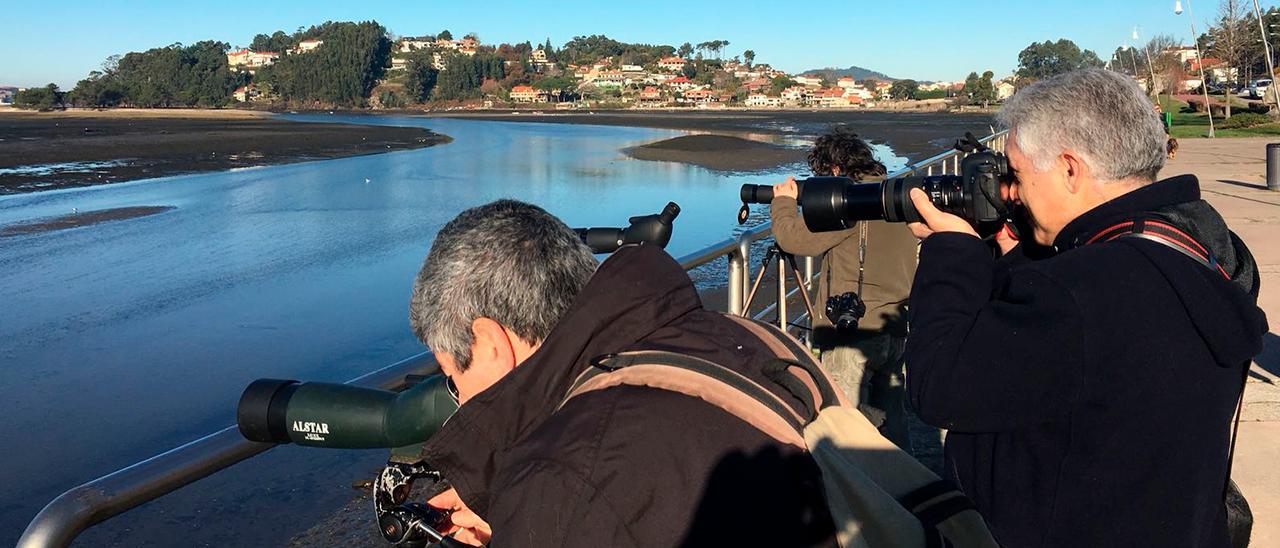 Imagen de archivo de una jornada de observación de aves en A Foz, Nigrán