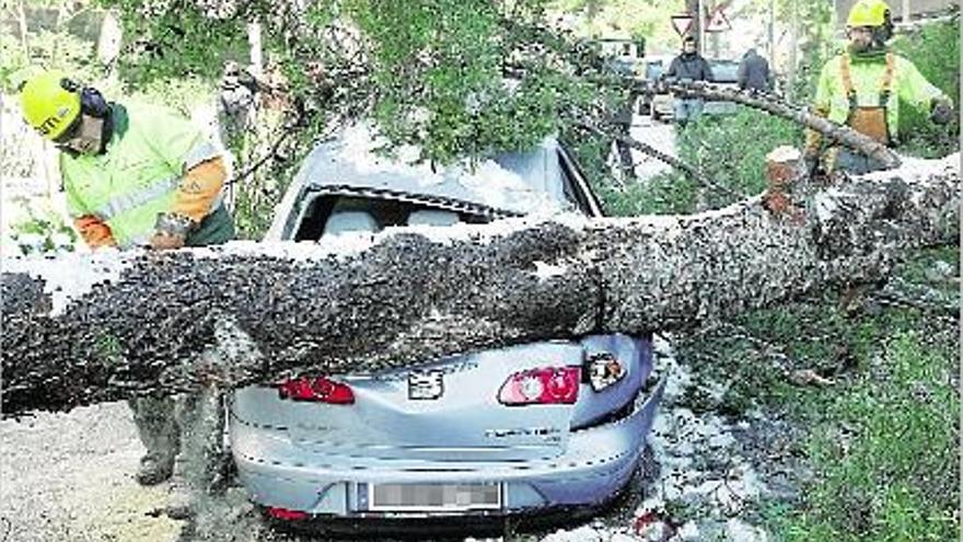 Dos treballadors retiren un arbre caigut sobre un cotxe, ahir, a la ciutat de Barcelona.