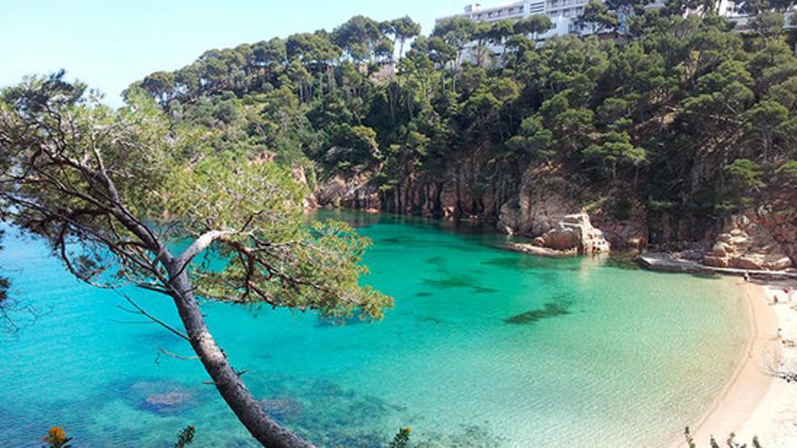 Begur prohibeix fumar a Aiguablava, Platja Fonda i Sa Tuna