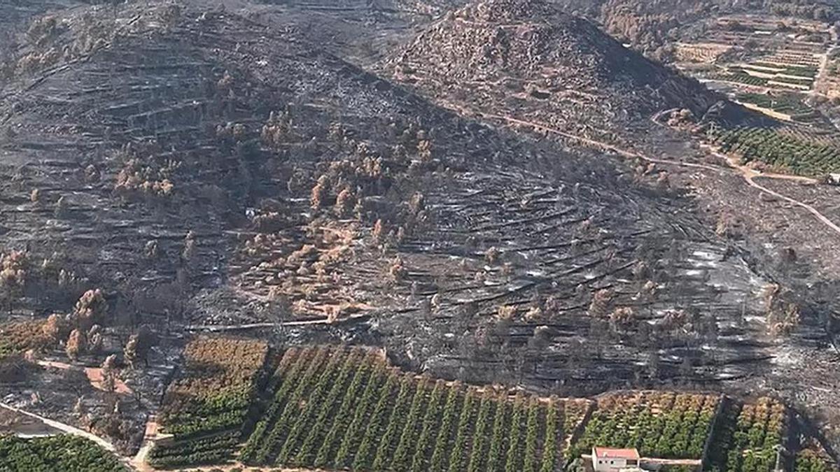 Vídeo: Imágenes aéreas muestran la devastación causada por el incendio en la Serra d'Espadá