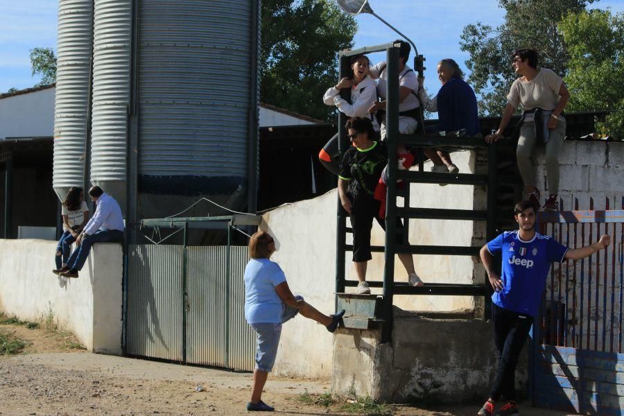 Encierro taurino en San Miguel de la Ribera