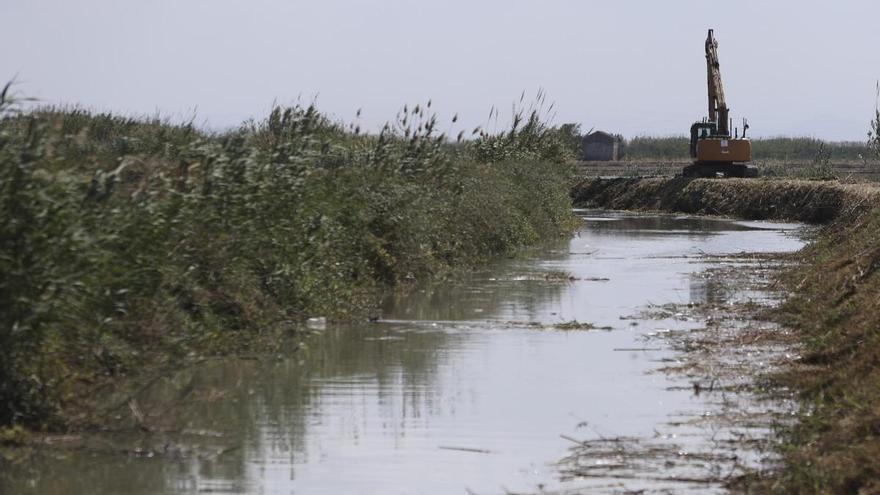 Trabajos de desbroce y adecuación de acequias en la Albufera