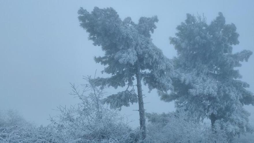 Imatge de la gebrada a Pinós d&#039;aquesta setmana