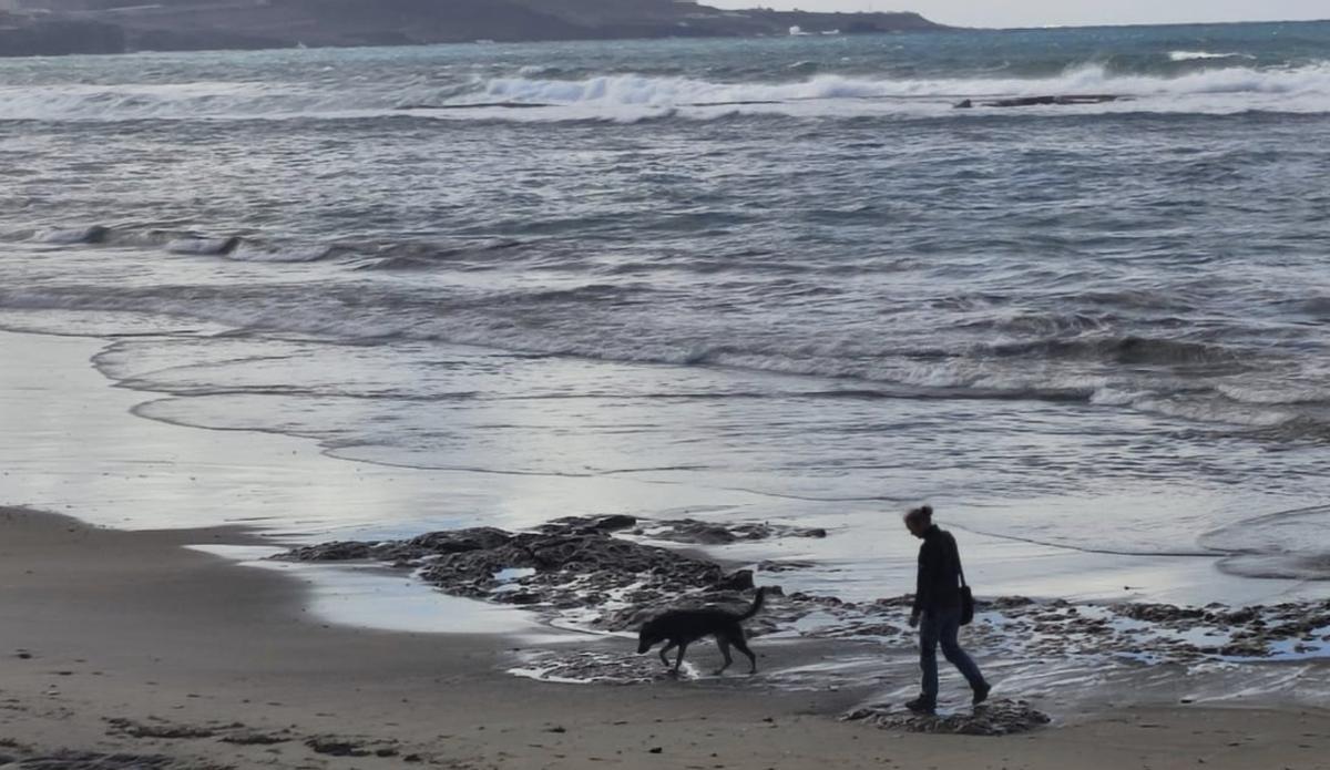 Pasea a su perro en plena playa de Las Canteras