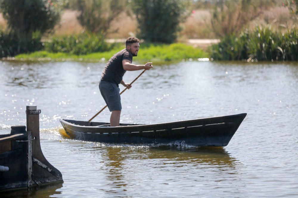 Siega y 'perxa' en l´Albufera