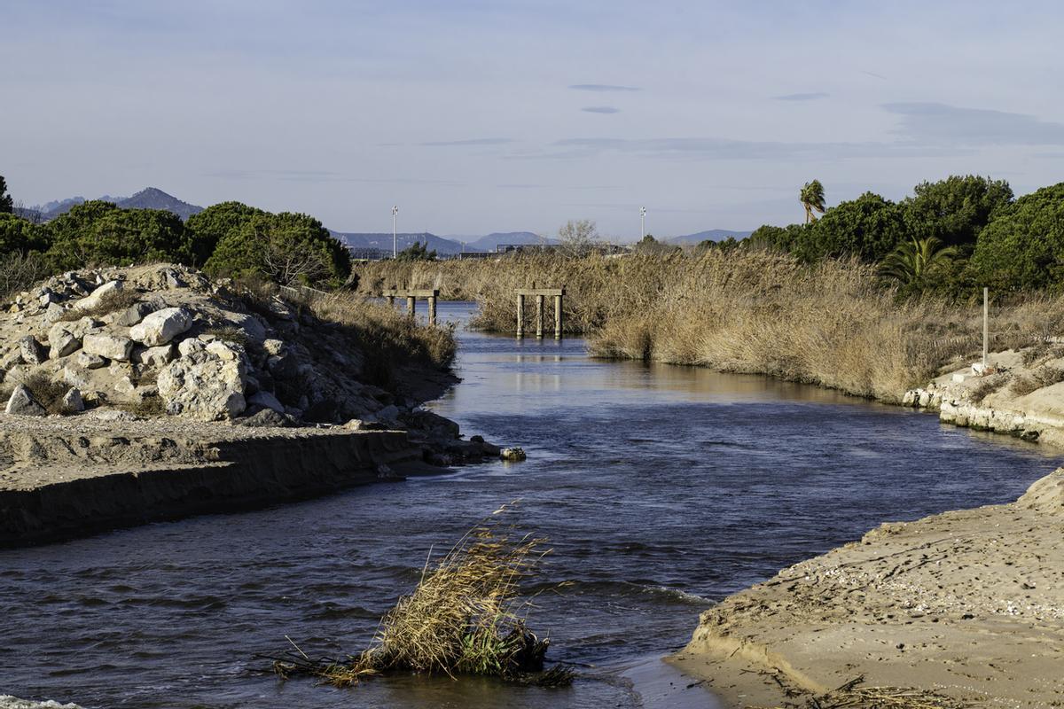 Delta del Llobregat