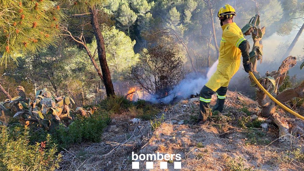 Els Bombers lluiten contra un incendi forestal a Vallirana (el Baix Llobregat)