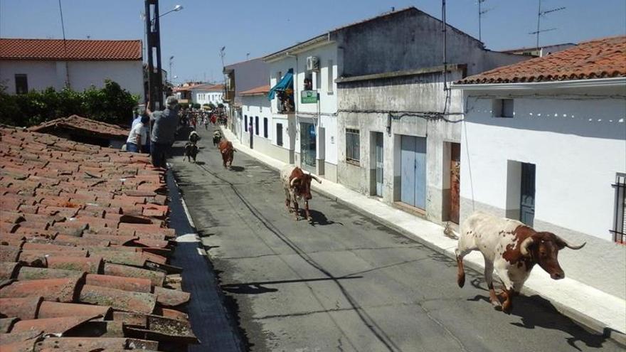 La organización de San Buenaventura se adjudica tras cambiarse las condiciones