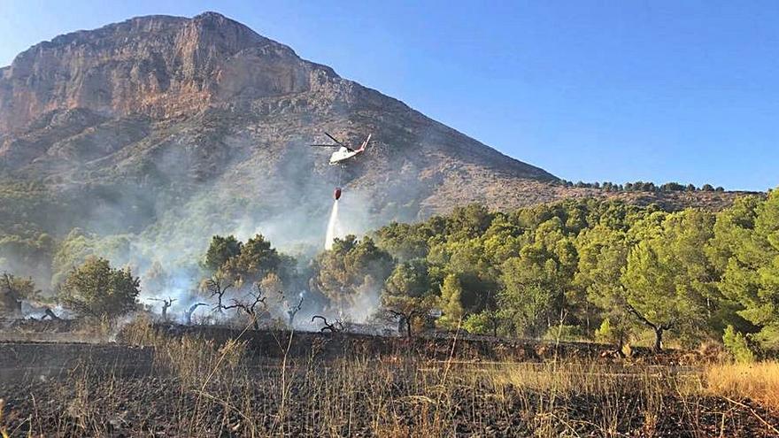 Incendio que afectó el pasado verano a la ladera del Montgó. | A. P. F.
