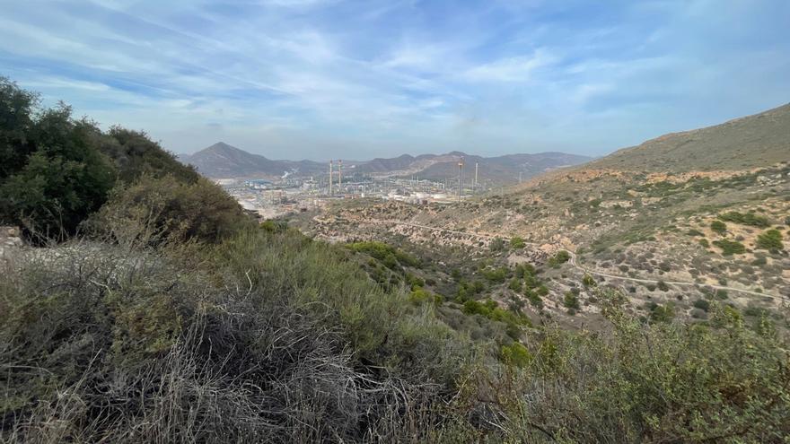 Autorizada la caza a rececho de jabalíes este viernes en varias zonas naturales de la Región