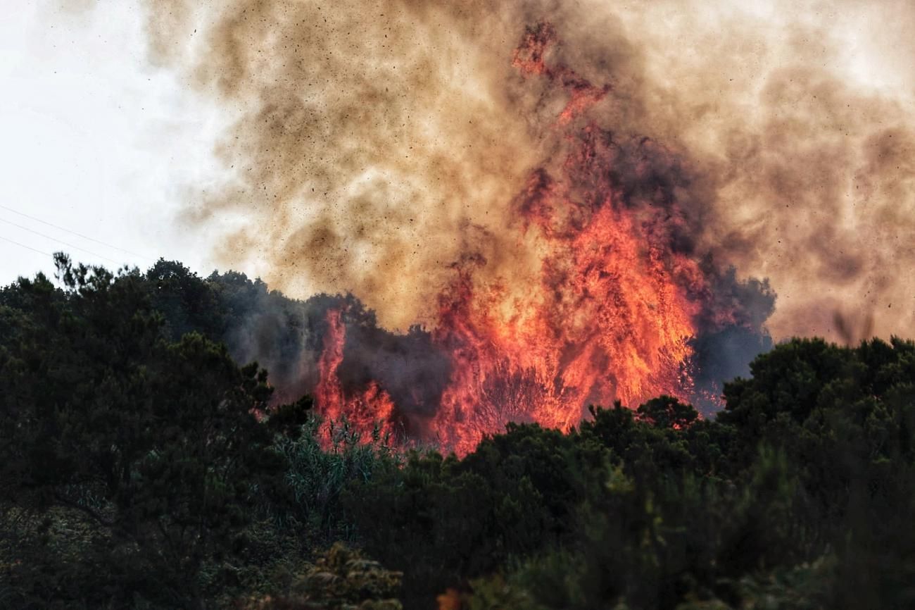 Incendio en La Laguna