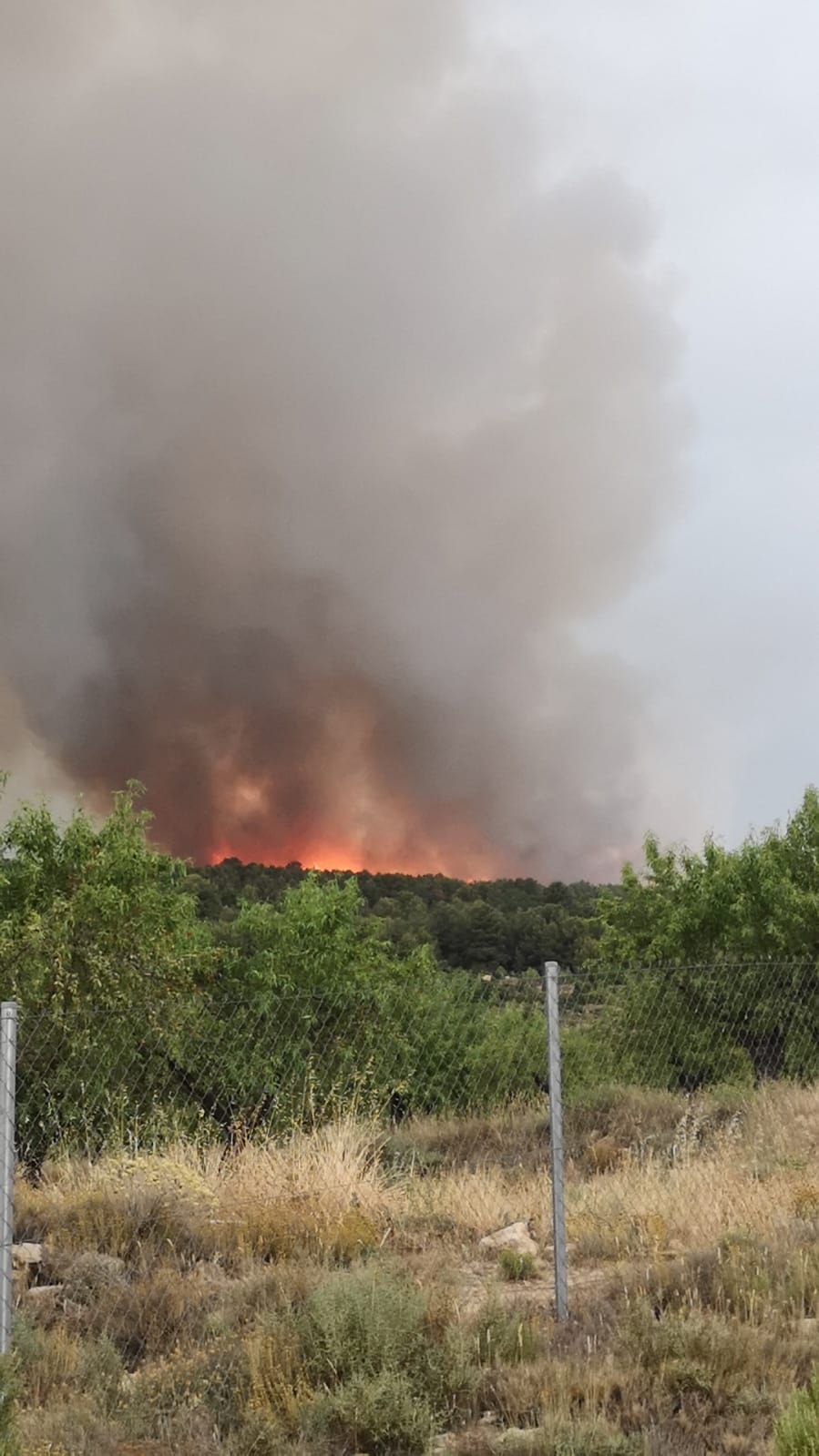 Tres rayos provocan incendios en Aras de los Olmos