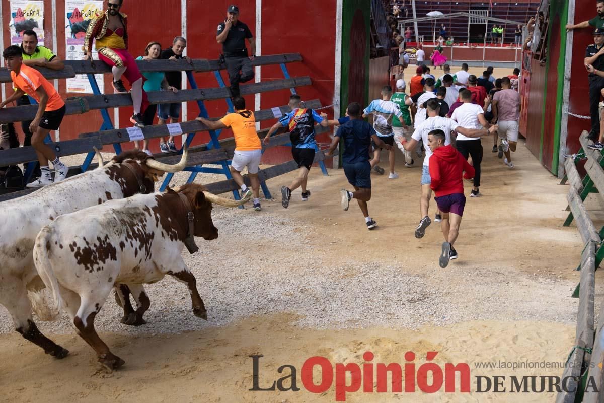 Primer encierro de la Feria del Arroz de Calasparra