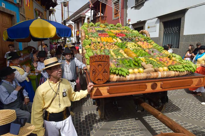 Carretas y grupos en la romería del Pino