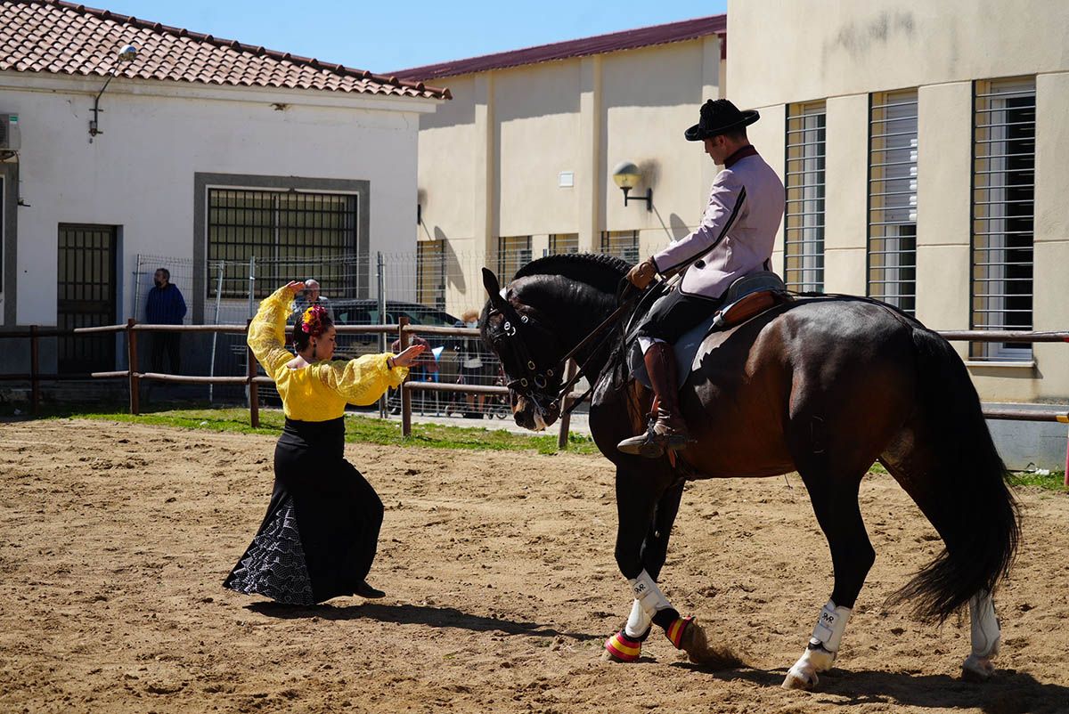 Abre la Feria de la Construcción de Hinojosa del Duque