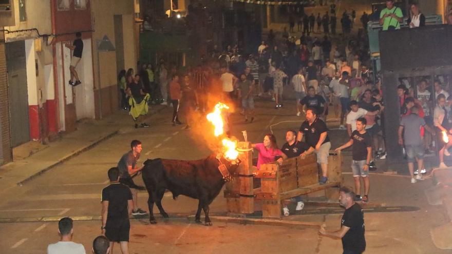 Los barrios de l’Alcora estrenan el bou al carrer