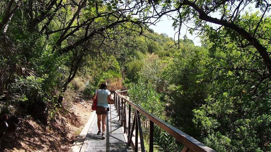 Sendero junto al río Guadalmina.