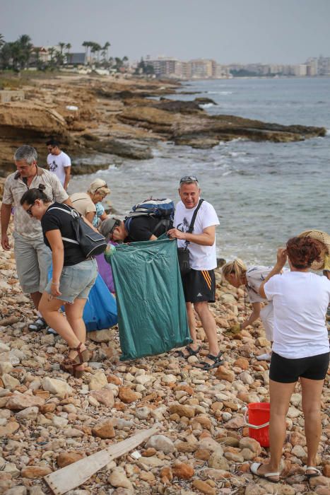 Limpieza del palmeral de Ferrís en Torrevieja