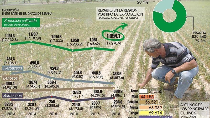 Extremadura pierde un 8,5% de su superficie de cultivos en cinco años