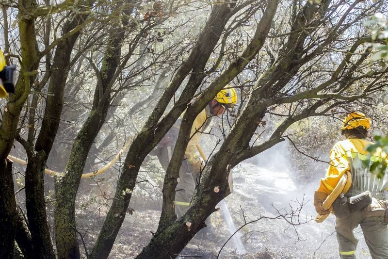 Fotogalería del incendio de las Cinco Villas